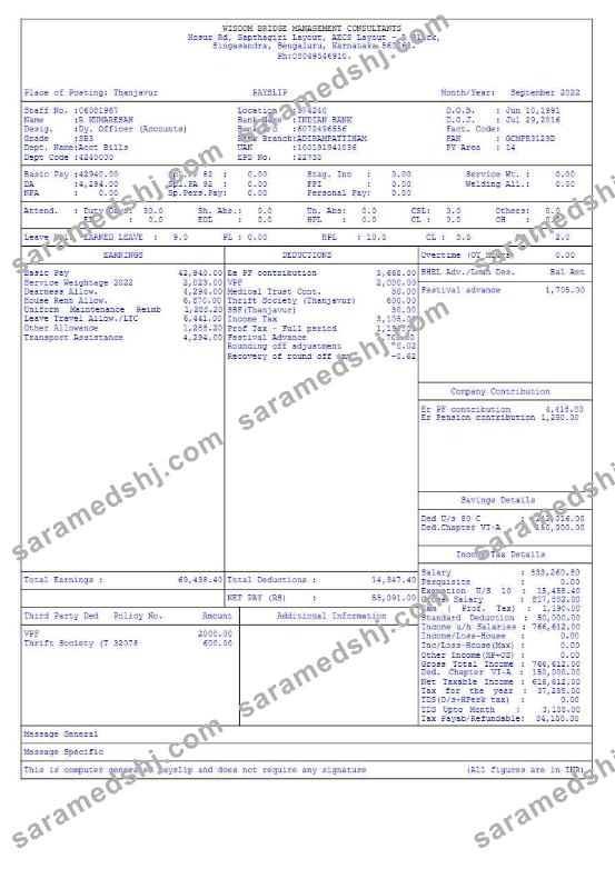 Wisdom Bridge Management Consultants payslip template in Word and PDF formats.pdf, 1